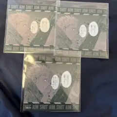 ヨルムンガンド 推しちゃれ ステッカー ルツ