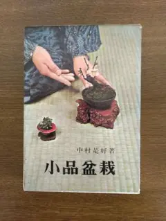盆栽  盆栽鉢  盆栽小鉢  是好  中村是好  矩 中村是好鉢 | 盆栽鉢専門店 大和魂