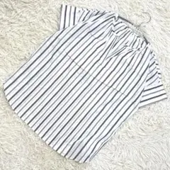 Item thumbnail for item b366ce64-f99e-46ba-b428-c38e49e5a69b