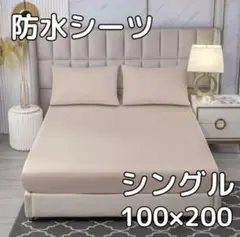 Item thumbnail for item e6d7bc68-73a0-4d1f-a34d-fb962ec5b329