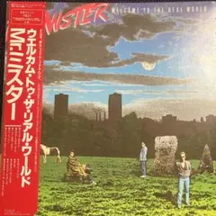 Mr.ミスター　ウェルカム　トゥ　ザ　リアル　ワールド　レコード