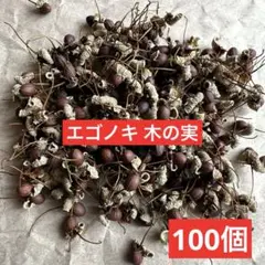 Item thumbnail for item 5f42678b-2730-44f3-9f19-1c70962db5b8