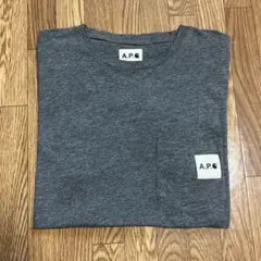 【美品 限定】アーペーセー カーハート コラボ商品 Tシャツ サイズS