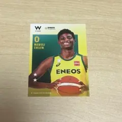 Item thumbnail for item 3fa493a8-e659-42c8-9325-e3ab0634785b