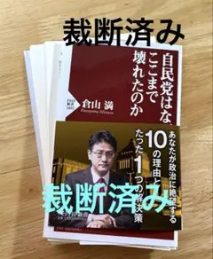 [裁断済]自民党はなぜここまで壊れたのか