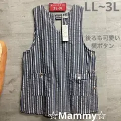 Item thumbnail for item ab4effd0-8575-4691-a6b3-2e934c8af115