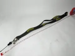 Item thumbnail for item 976cf769-c0c8-4965-a85d-1e56347f6920