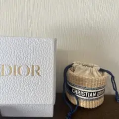 DIOR ディオール ミニショルダー 新作ノベルティポーチ 正規品　新品ま未使用