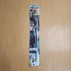 Item thumbnail for item 48265de8-6d6d-428d-aa65-a809b29b2a0d