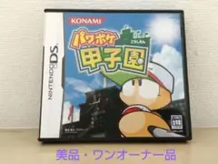 美品・ケース・説明書付☆匿名スピード発送☆Nintendo DS パワポケ甲子園