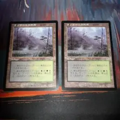MTG　ラノワールの荒原/Llanowar Wastes　2枚セット