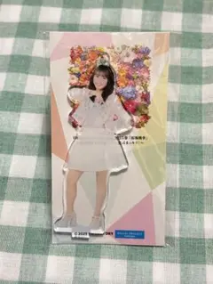 Item thumbnail for item 3d86418f-3cd2-4b5f-ae21-d0e920f72d69