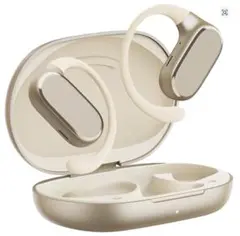 Item thumbnail for item 719337f3-6cef-406f-bfc1-efccc602e533