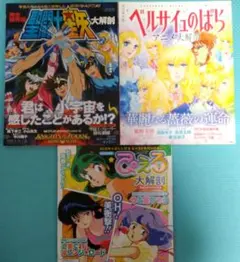 【美品】サンエイムック 大解剖 3冊セット 聖闘士星矢 ベルサイユのばら ぴえろ