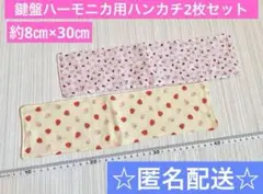 Item thumbnail for item a0f59f05-1943-45f8-ba12-f096e341ba29