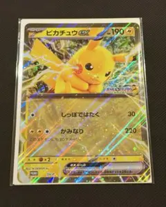 ポケモンスタンプラリー2025 ジャンボカード ピカチュウex