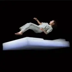 【定価26万4000円】ブレインスリープマットレスプレミアムフロート