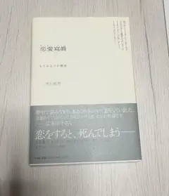市川拓司「恋愛寫眞　もうひとつの物語」