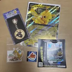 JR東日本 ポケモンスタンプラリー2025 ピカチュウ　レックウザ
