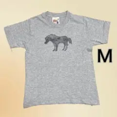 Aiken Drum　馬　Tシャツ　 グレー　プリント　M　チビT used