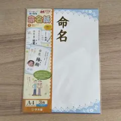 Item thumbnail for item 5f6722a6-6ba2-4dc4-8446-255c1a715d5f