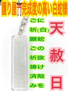 蛇の抜け殻✨スティック✨縦長✨白蛇のお守り【天赦日,定期的ご祈祷済み】銀銀AE