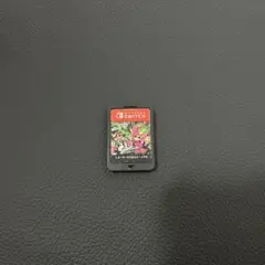 Switchカセット　スプラトゥーン2 カセットのみ