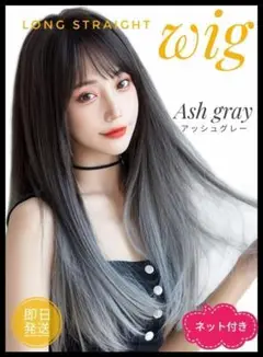 新品★ロングストレート★ウィッグ★アッシュグレー★グラデーション★ネット付き