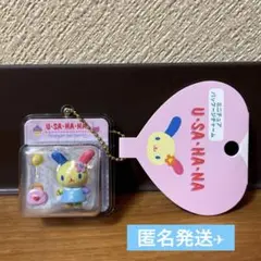 サンリオ ウサハナ ミニチュアパッケージ チャーム　ハナ