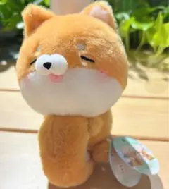 はぎゅっとて～る ぬいぐるみ しばくん