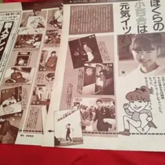 80年代アイドル岩井小百合切り抜き