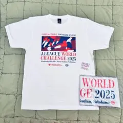 INTERNATIONAL FOOTBALL LEAGUE WORLD Tシャツ