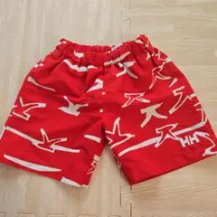 ヘリーハンセン　水着