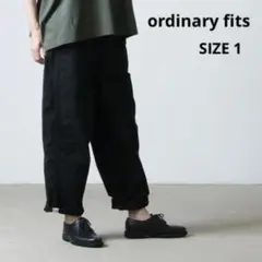 ordinary fits THOMAS PANTS トーマスパンツ　CHINO