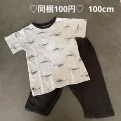 【同梱100円】半袖パジャマ　100cm　恐竜