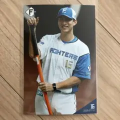 日本ハムファイターズ　フォト　達孝太 #16