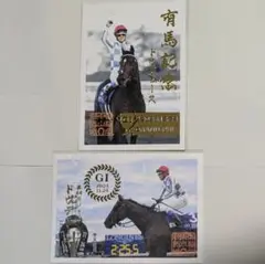 御駿印　ドウデュース 有馬記念　ジャパンカップ　セット