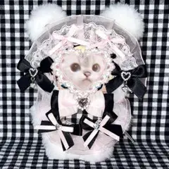 ぬい服 10cm くま 着ぐるみ