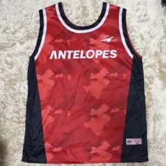 Item thumbnail for item 40e48e6b-69a0-41ed-8ce5-4e69ef9fc92d