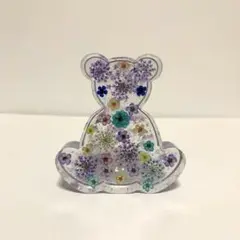 ［訳あり］固まるハーバリュウム ベア
