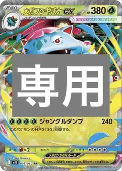 専用