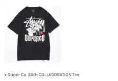 ステューシー　2010 30th記念Tシャツ　限定生産　サイズS