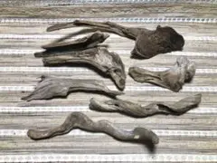 Item thumbnail for item 6d944e46-0d94-4095-9407-2c572dfdd0a2