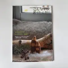 こんな学校あったんだ！ シュタイナー いずみの学校