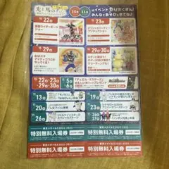 とうきょうメガイルミ 無料入場券