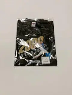 北海道日本ハムファイターズ 金子千尋 Tシャツ Lサイズ