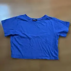 クロップド半袖LサイズTシャツ