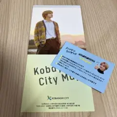 吉野北人 ハッシンコバヤシ パンフレット