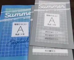 未使用【塾用教材】夏期テキストA 英語 中学3年 基本編 教育開発出版