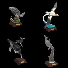 NTC 小笠原 特装版 アオウミガメ ザトウクジラ 等 4種セット